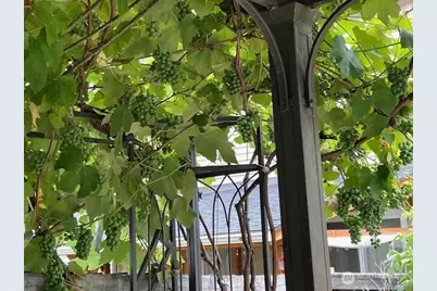 18731 116th Avenue E, Puyallup, WA 98374 - Photo 32