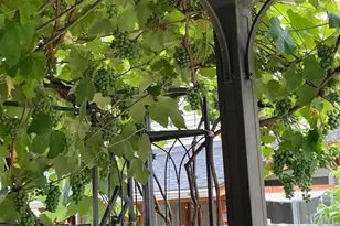 18731 116th Ave E, Puyallup, WA 98374 - Photo 32