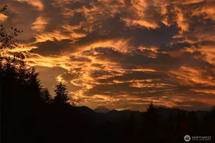 289 Long and Winding Rd, Randle, WA 98377 - Photo 36