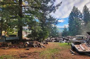 125 Edmonds Rd, Packwood, WA 98361 - Photo 4