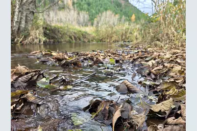 8442 US Hwy 12, Glenoma, WA 98336 - Photo 24