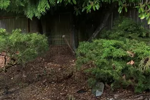 4111 164th Street SW, Lynnwood, WA 98087 - Photo 20