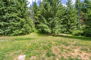 27507 72nd Ave E, Graham, WA 98338 - Photo 36