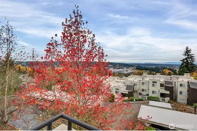 7347 Old Redmond Road #119, Redmond, WA 98052 - Photo 12