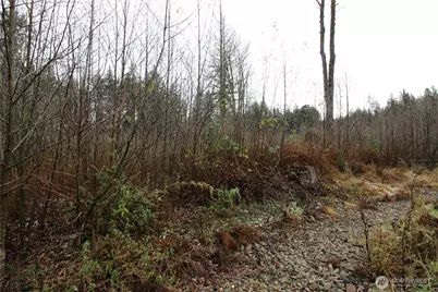 0 364th Avenue SE, Maple Valley, WA 98038 - Photo 6