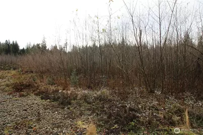 0 364th Avenue SE, Maple Valley, WA 98038 - Photo 4