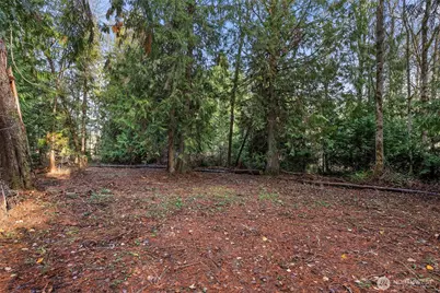 15718 153rd Avenue SE, Yelm, WA 98597 - Photo 4