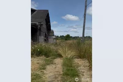 673 Monte-Elma Road, Montesano, WA 98563 - Photo 4