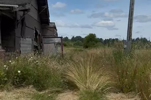 673 Monte Elma Rd, Montesano, WA 98563 - Photo 4