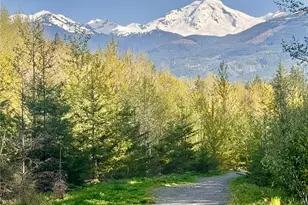 7473 Glacier Springs Dr, Deming, WA 98244 - Photo 20