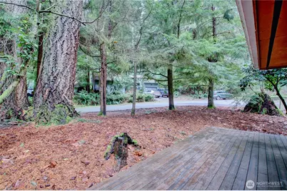 1 Cayuse Court, Bellingham, WA 98229 - Photo 12