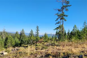 190 Skyline Rdg Dr Lot 55, Cle Elum, WA 98922 - Photo 24