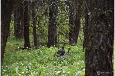 25813 Bridle Lane, Leavenworth, WA 98826 - Photo 22