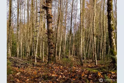 9524 Freedom Place, Blaine, WA 98230 - Photo 24