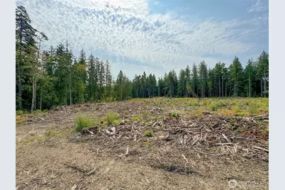 319 W Reservoir Road, Sequim, WA 98382 - Photo 30