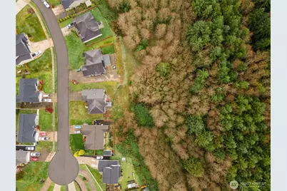 93 McDonald Creek Lane, Elma, WA 98541 - Photo 12