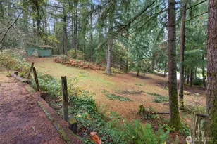 400 Ogden Rd, Castle Rock, WA 98611 - Photo 28