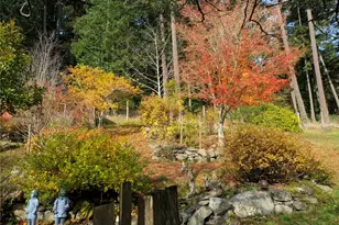 585 White Beach Rd, Orcas Island, WA 98245 - Photo 16