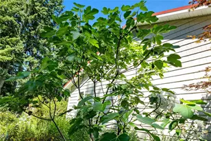 5505 Oyster Bay Rd NW, Olympia, WA 98502 - Photo 34