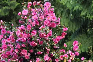 5505 Oyster Bay Rd NW, Olympia, WA 98502 - Photo 24