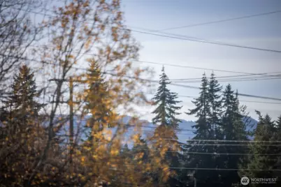 206 E Vashon Avenue, Port Angeles, WA 98362 - Photo 4