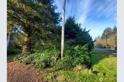 407 Mount Olympus Avenue SE, Ocean Shores, WA 98569 - Photo 4