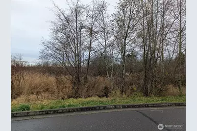 0 Second Avenue, Ferndale, WA 98248 - Photo 2