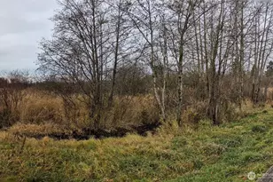 0 Second Ave, Ferndale, WA 98248 - Photo 1