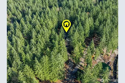 29704 SE 361st Place, Enumclaw, WA 98022 - Photo 6