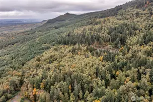 358 Xx SE 311th St, Ravensdale, WA 98051 - Photo 2