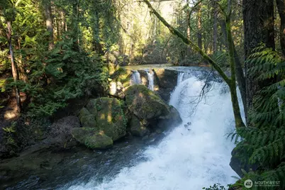 1120 Birch Falls Drive, Bellingham, WA 98229 - Photo 38