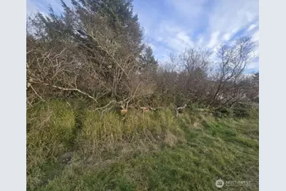 570 NE Puffin Avenue, Ocean Shores, WA 98569 - Photo 4