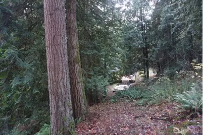 4703 Ames Lake Carnation Rd NE, Redmond, WA 98053 - Photo 14