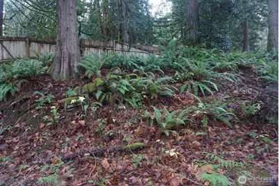 4703 Ames Lake Carnation Rd NE, Redmond, WA 98053 - Photo 18