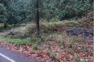 4703 Ames Lake Carnation Rd NE, Redmond, WA 98053 - Photo 8