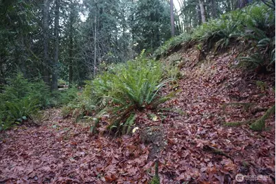 4703 Ames Lake Carnation Rd NE, Redmond, WA 98053 - Photo 20