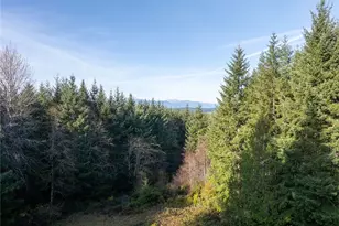 621 E Morris Creek Dr, Belfair, WA 98528 - Photo 34