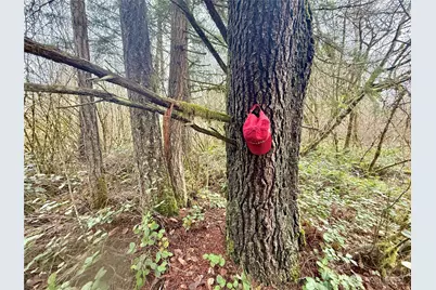 298 Boone Road, Toledo, WA 98591 - Photo 22