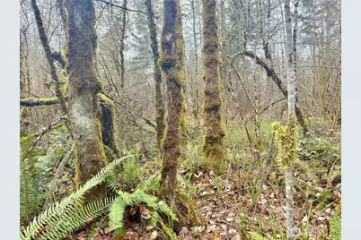 298 Boone Road, Toledo, WA 98591 - Photo 34