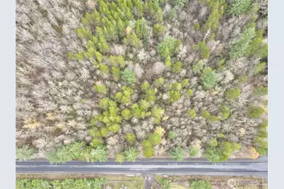 298 Boone Road, Toledo, WA 98591 - Photo 6