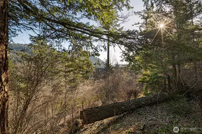 0 Nhn Cliffhouse Court, Orcas Island, WA 98245 - Photo 12