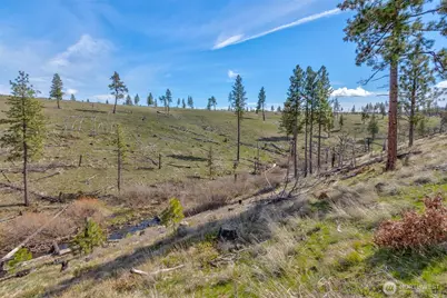0 Lot 1 2 Box Canyon Road, Goldendale, WA 98620 - Photo 10