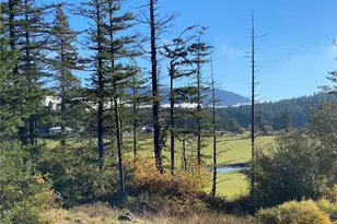 4263 Orcas Rd, Orcas Island, WA 98245 - Photo 8
