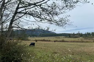 4263 Orcas Rd, Orcas Island, WA 98245 - Photo 28