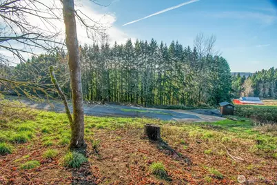 110 Lenora Lane, Kelso, WA 98626 - Photo 16