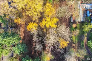 2810 Redwood St, Milton, WA 98354 - Photo 10