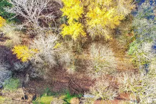 2810 Redwood St, Milton, WA 98354 - Photo 6