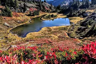 7 Saint Anton St, Snoqualmie Pass, WA 98068 - Photo 32