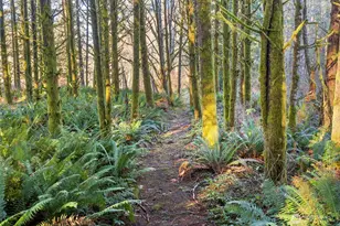 1895 N Fork Rd, Chehalis, WA 98532 - Photo 6