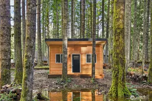 56115 Kernahan Rd E, Ashford, WA 98304 - Photo 10